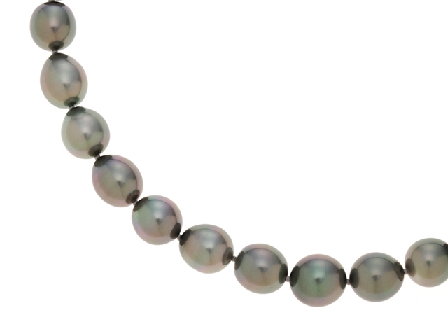 JEWELRY 貴金属・宝石 ネックレス パールネックレス 黒蝶真珠 JEWELRY 貴金属・宝石 ネックレス パールネックレス 黒蝶真珠