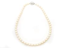 JEWELRY　ネックレス　シルバー　シルバー　パール　真珠　44.1g（2143100527577）【200】