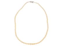 JEWELRY　ジュエリー　ネックレス　シルバー　パール　約19.2g　2120000328985【207】