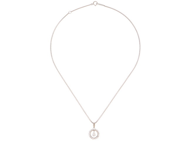 JEWELRY ジュエリー ネックレス プラチナ トップPT900/チェーンPT850