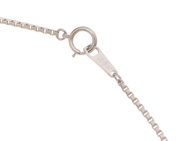 JEWELRY ジュエリー ネックレス プラチナ トップPT900/チェーンPT850