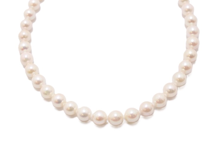 JEWELRY ノンブランドジュエリー ネックレス イヤリングセット SV シルバー アコヤ養殖真珠宇和島産 【460】2120000347009