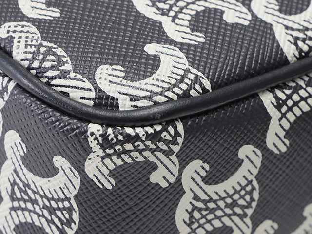 CEINE セリーヌ トリオンフ ミディアム メッセンジャーバッグ ブラック/ホワイト 194502FQ1.38AW 【431】 2120700021438