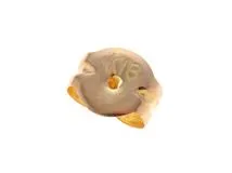 JEWELRY　ノンブランドジュエリー　貴金属・宝石　ピアス　K18イエローゴールド　サファイア　2.4g　2120800006052　【205】