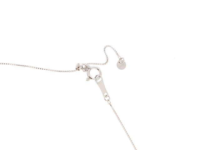 JEWELRY ノンブランド ジュエリー ネックレス PT850 ルビー/ダイヤモンド【431】