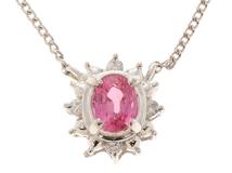 JEWELRY　ノンブランドジュエリー　貴金属・宝石　ネックレス　プラチナ850　ルビー約0.41ct/ダイヤモンド　約2.4g　2141100655238　【205】