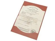 FRANCK MULLER　フランクミュラー　8880CDTBR CAMOUFLAGE　カサブランカ・カモフラージュ　SS　自動巻き【434】【中古】