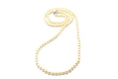 JEWELRY ノンブランドジュエリー ネックレス SV シルバー パール 真珠 【460】2143200622721