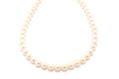 JEWELRY ノンブランドジュエリー ネックレス SVシルバー パール 真珠 【460】2143200633451