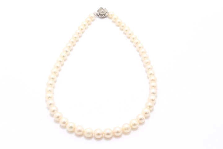JEWELRY ノンブランドジュエリー ネックレス SVシルバー パール 真珠 【460】2143200633451