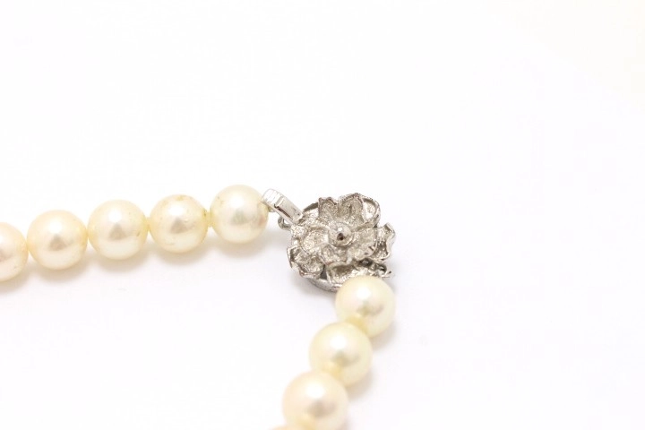 JEWELRY ノンブランドジュエリー ネックレス SVシルバー パール 真珠 【460】2143200633451