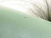 FENDI　フェンディ　ショルダーバッグ　モンスター　マイクロバゲット　ライトグリーン　レザー　8M0354【472】HA