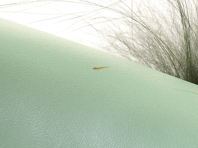 FENDI フェンディ ショルダーバッグ モンスター マイクロバゲット ライトグリーン レザー 8M0354【472】HA