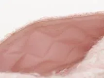 CHANEL シャネル ショルダーバッグ 2.55チェーンショルダーバッグ ピンク/ホワイト/シルバー金具 ツイード ギャランティカード付【472】SJ