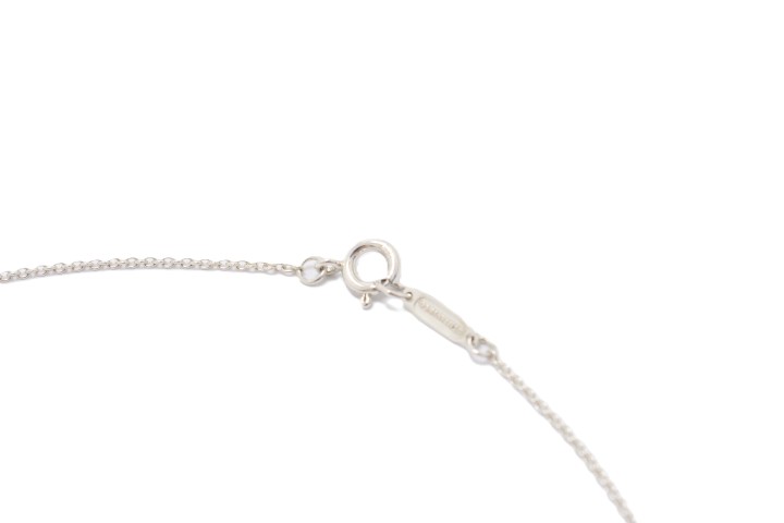 TIFFANY＆CO ティファニー アトラスサークルネックレス SV925