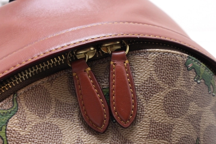 COACH コーチ チャーター バックパック 24・シグネチャー キャンバス・レキシー プリント CF101 【460】2143600356776