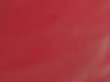 FENDI　フェンディ　フリップ　2wayバッグ　レッド/ベージュ　カーフ【431】2146000404313