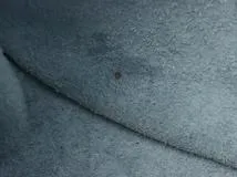 HERMES エルメス ショルダーバッグ エヴリンGM ブルージーン トリヨンクレマンス □F刻印 2147300388495【430】