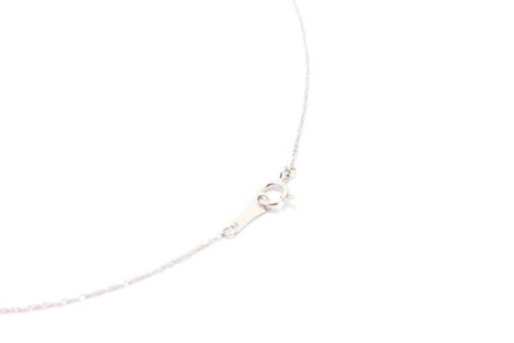 JEWELRY ノンブランドジュエリー 1粒ダイヤモンド ネックレス