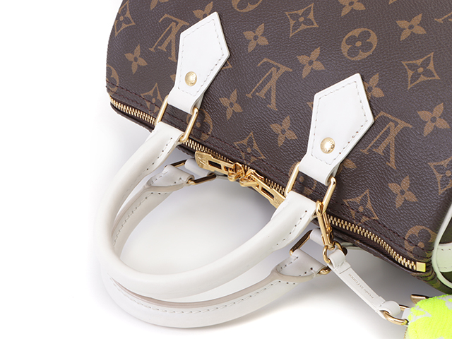 Louis Vuitton ルイヴィトン ハンドバック スピーディ バンド