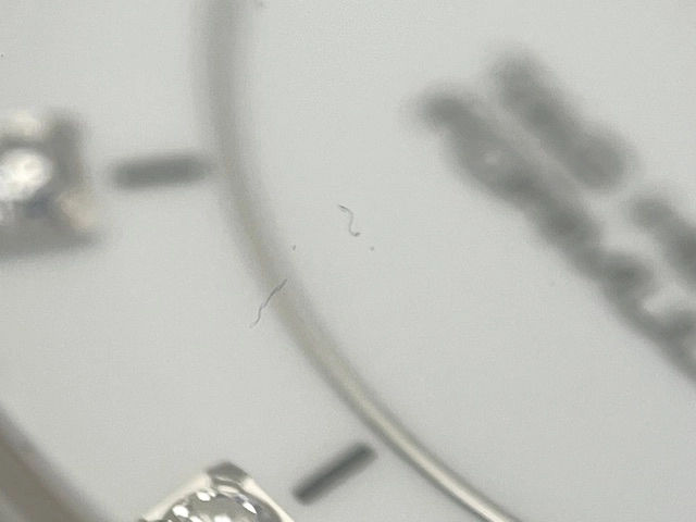 TAG HEUER タグホイヤー レディース クォーツ フォーミュラ1 WAH1315.BA0868 ホワイト12PD文字盤 CE/SS【472】HK