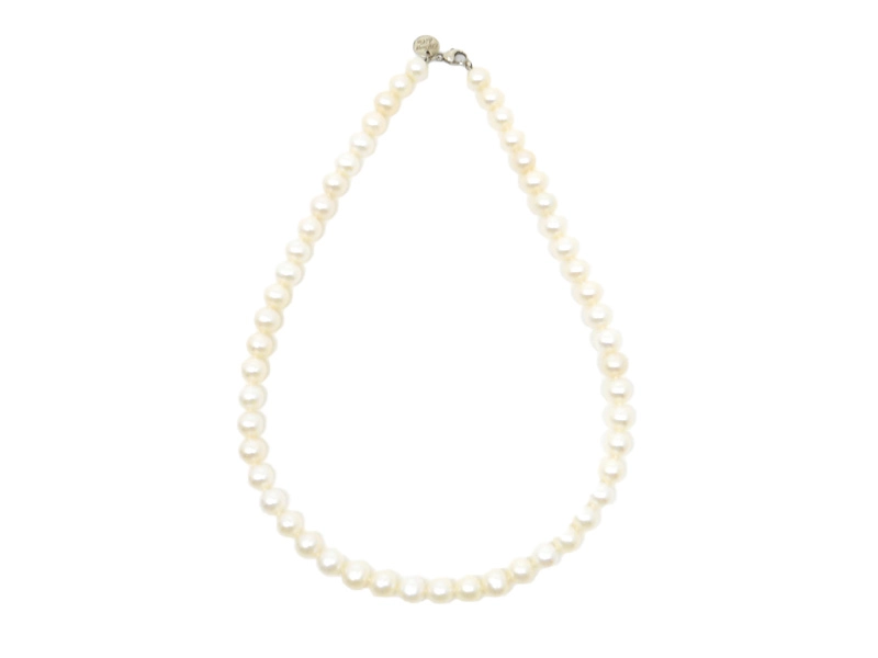 TIFFANY&CO ティファニー ジーグフェルドネックレス フレッシュ