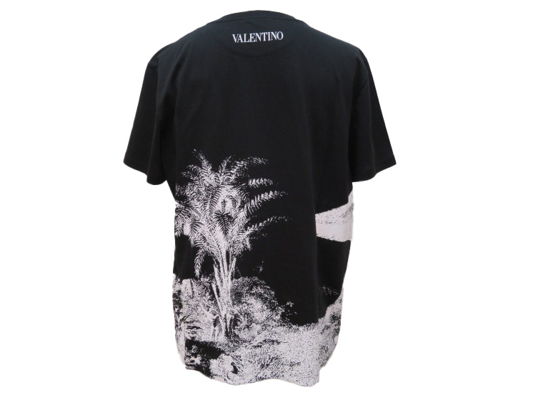 VLTN69-01-1.jpg