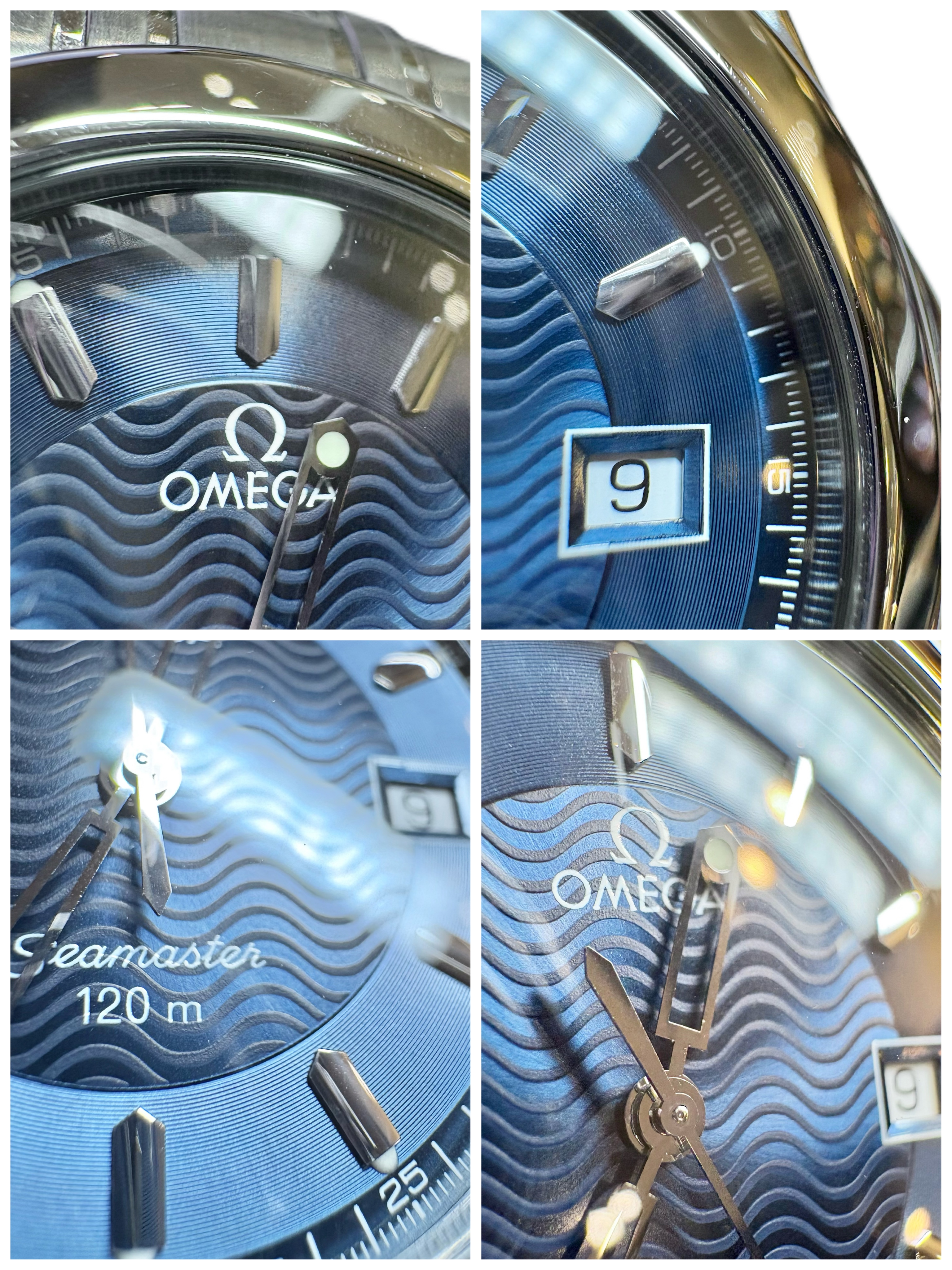 プルメリア 楽天市場】プルメリア オブツーサ シンガポールホワイト 4号