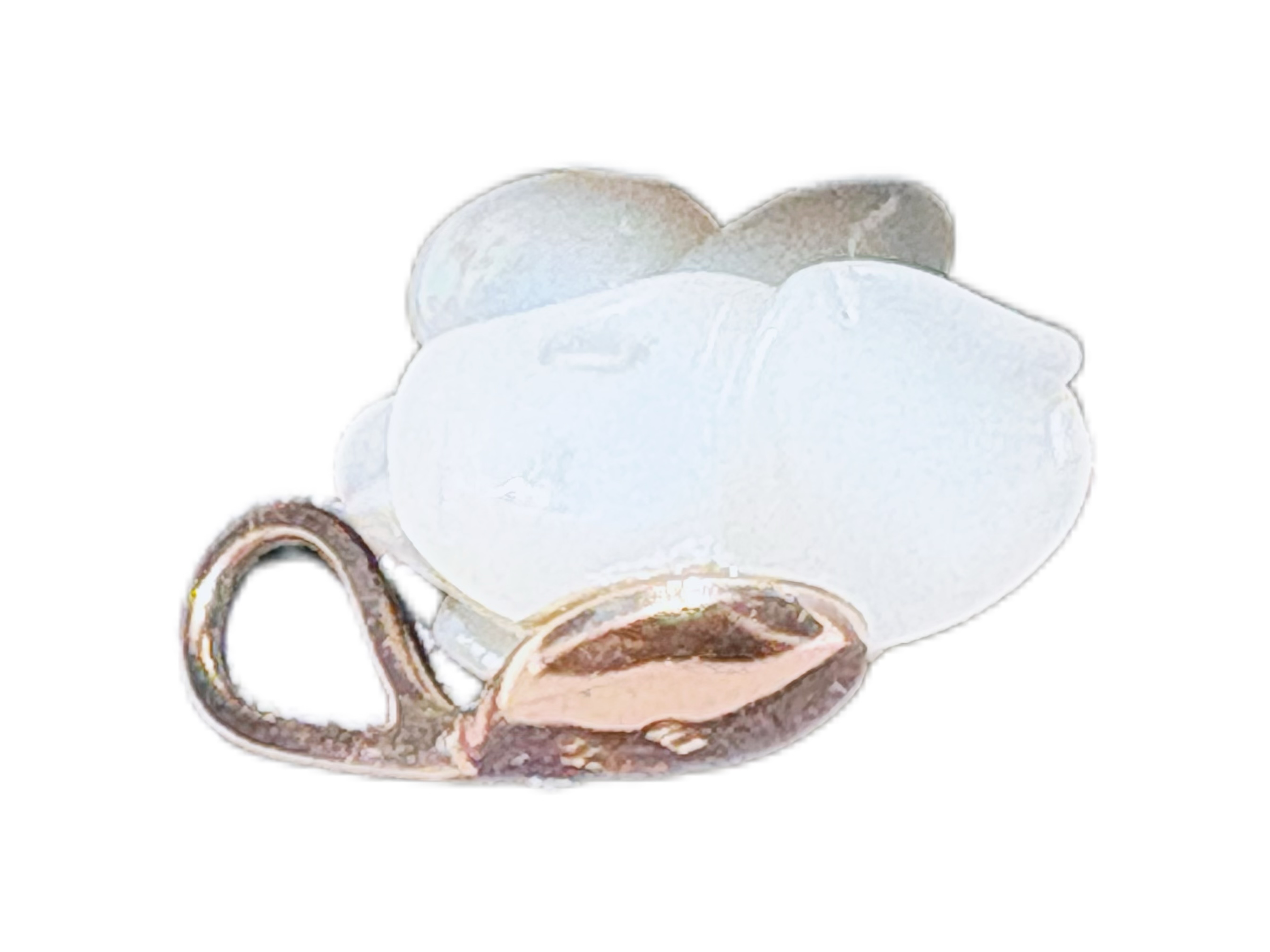 【レア完売品】agete 10kスモーキークォーツ白蝶貝チャーム レア完売品】agete 10kスモーキークォーツ白蝶貝チャーム レア完売品