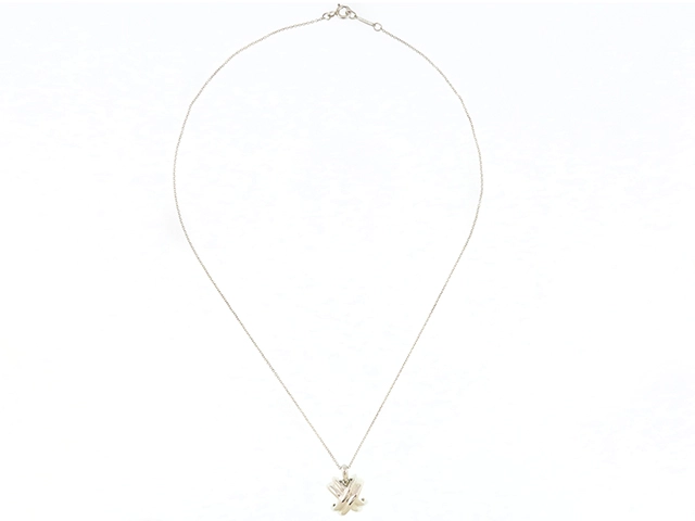 Tiffany ティファニー シグネチャーネックレス ネックレス シルバー 約4.3g 2148103914461【207】