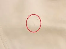 GUCCI グッチ 衣類 Tシャツ メンズXS アイボリー/マルチ コットン/スパンコール 492347 (2148103805370) 【200】