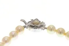 JEWELRY ノンブランド ジュエリー ネックレス 925 シルバー パール 31.5g【473】